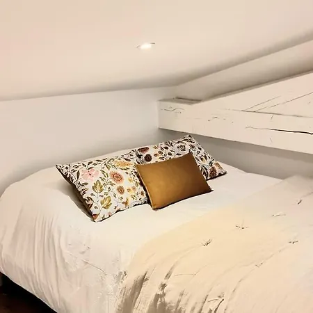 Apartment Nid Douillet - Hypercentre - Gare - Metro - Wifi