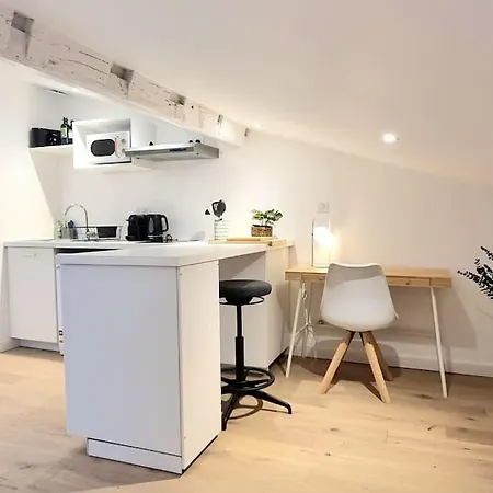 Nid Douillet - Hypercentre - Gare - Metro - Wifi Apartmán Toulouse