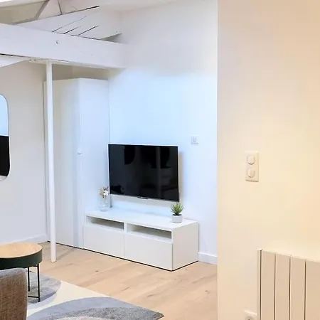 Apartment Nid Douillet - Hypercentre - Gare - Metro - Wifi