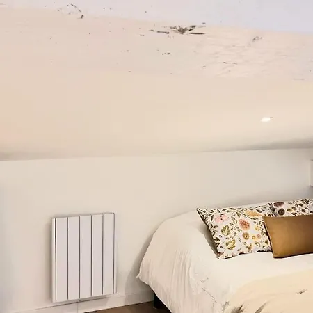 Apartmán Nid Douillet - Hypercentre - Gare - Metro - Wifi *